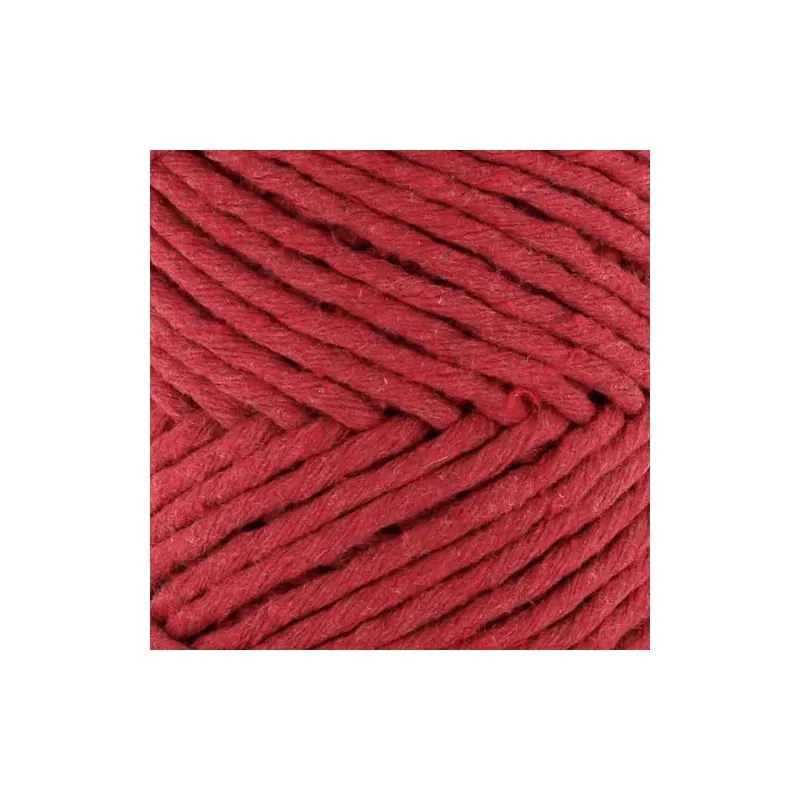 Fil coton recyclé chunky Eco Barbante Spesso, 200 g : vue 1